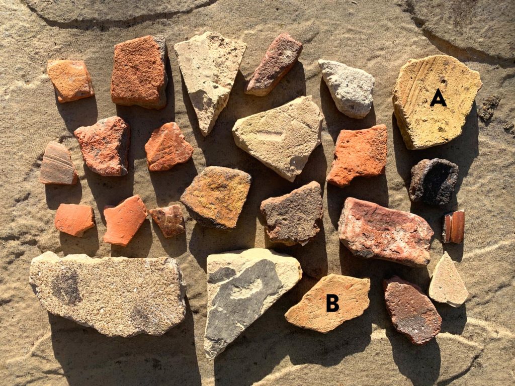 Amphora Pottery Sherds