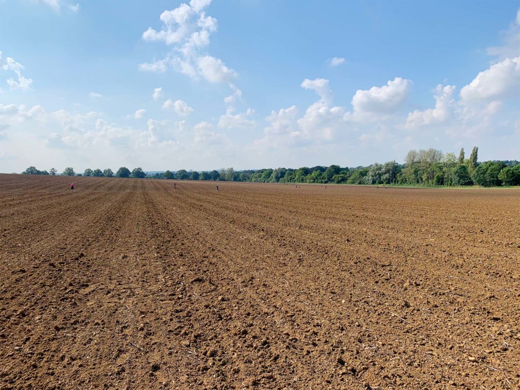 The Field