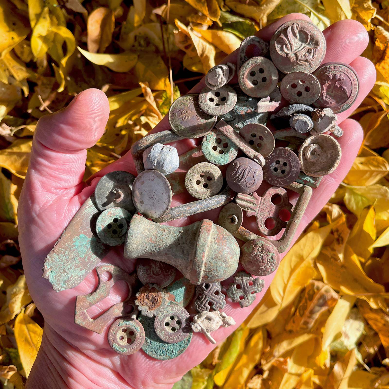 Hand of finds