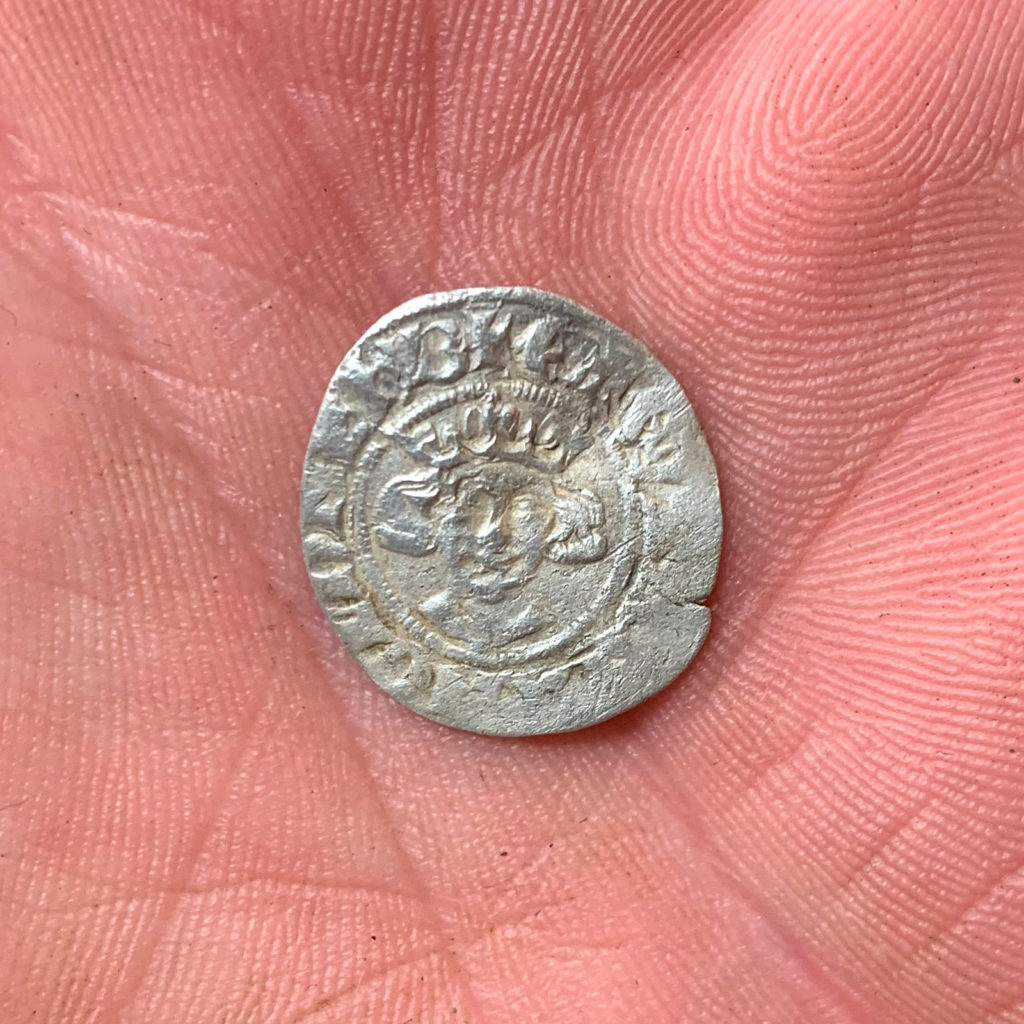 Silver Hammy