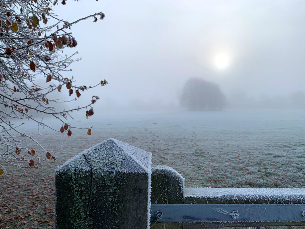 Winter Scene