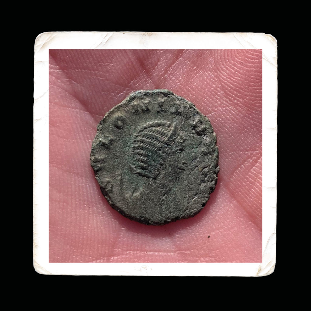 Salonina