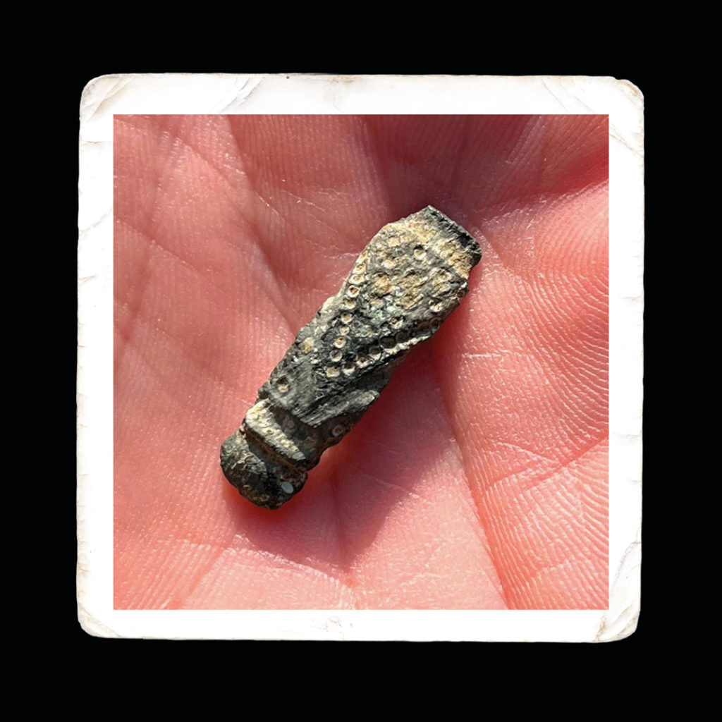 Roman Bracelet