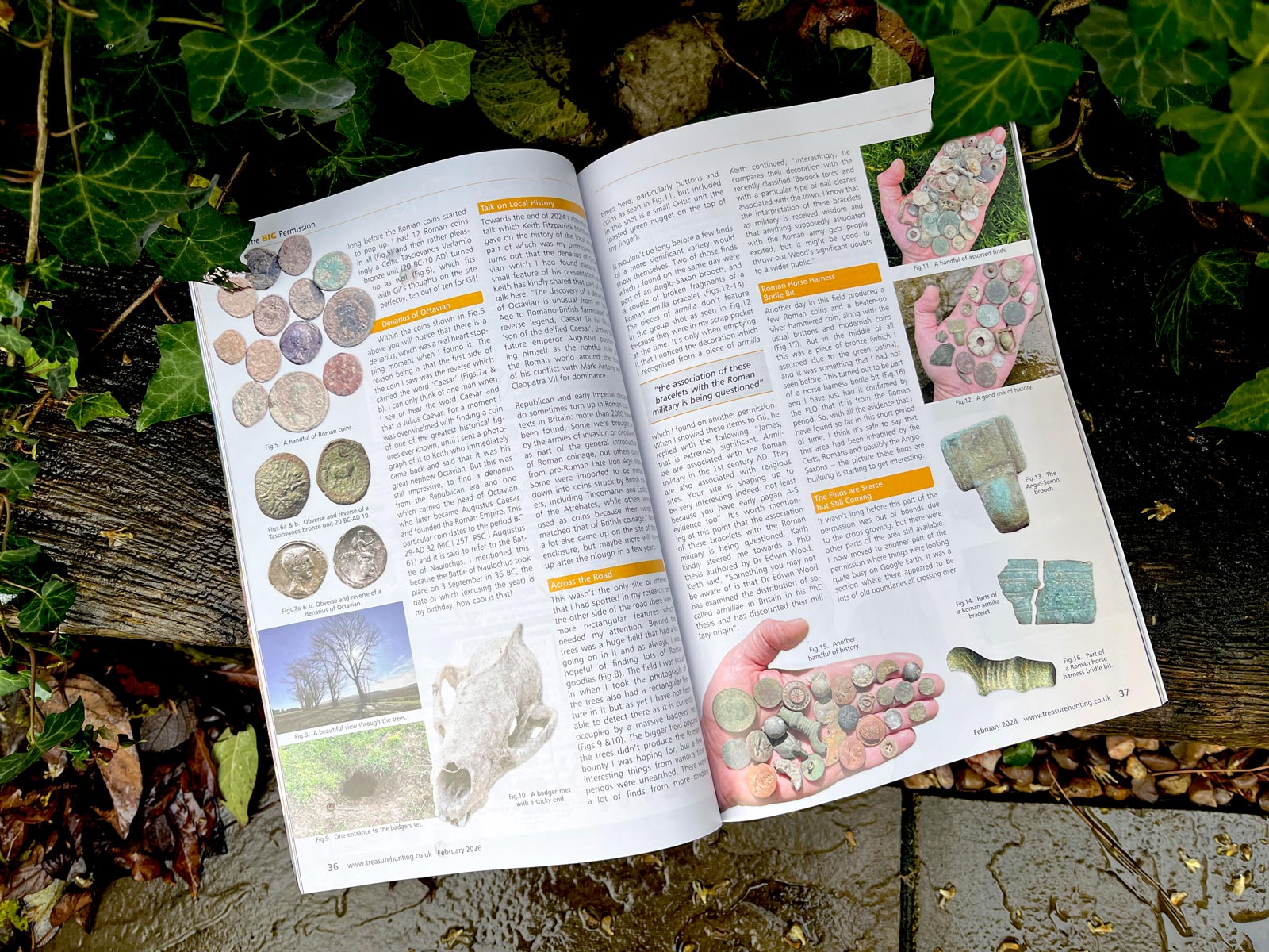 TH Article First Spread