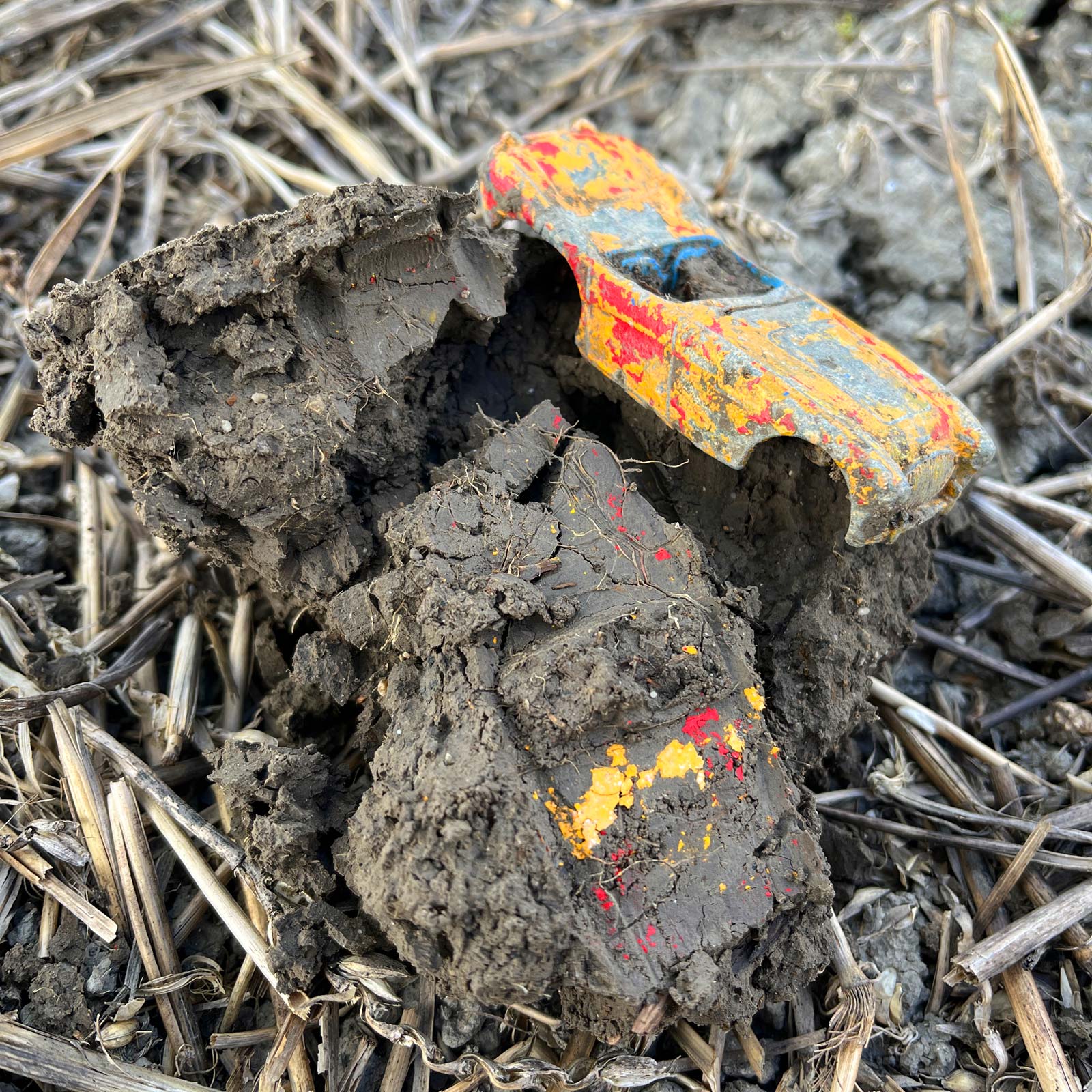 Austin Healy in the clod