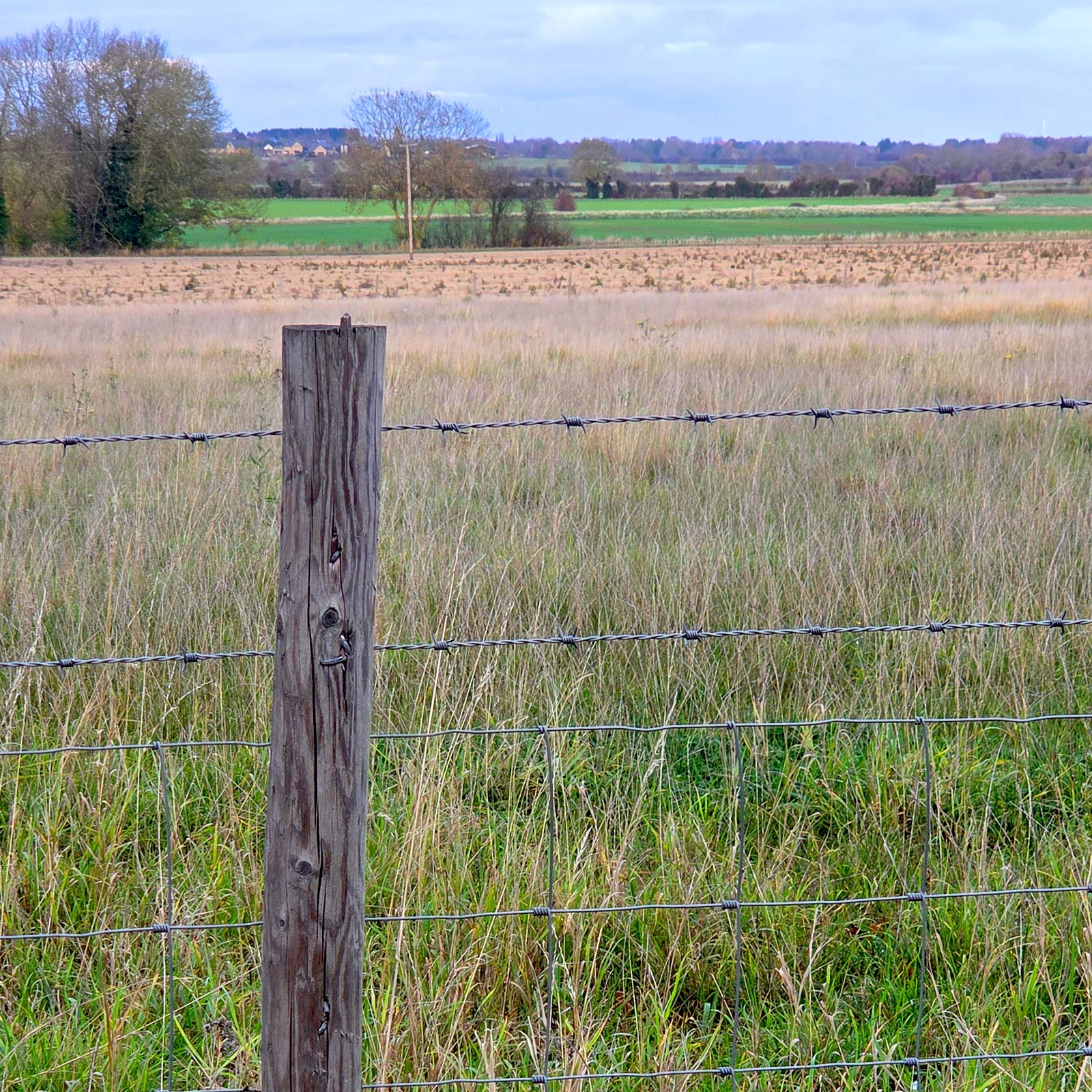 The fence post